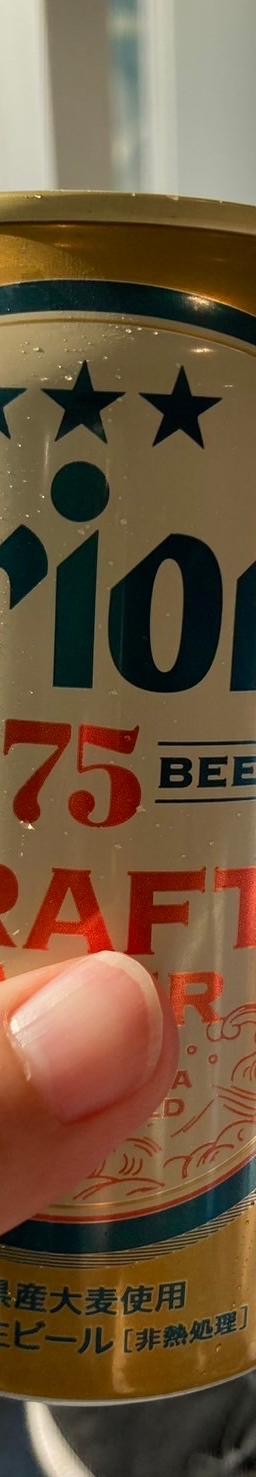 75BEER CRAFT LAGER