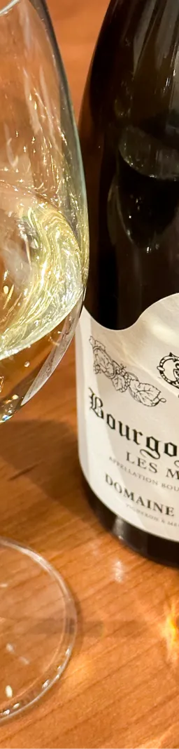 Bourgogne Aligoté Les Maréchaux