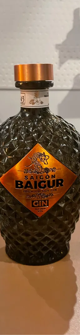 SAIGON BAIGUR