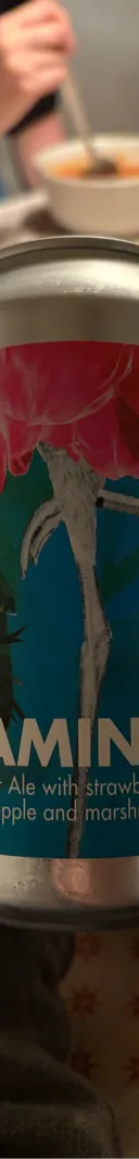 Flamingo サムネイル 1