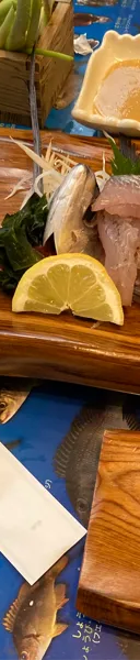 屋久杉 サムネイル 1