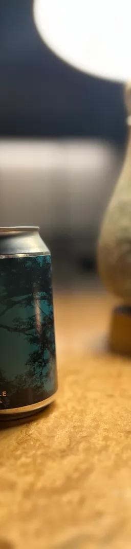 木漏れ日のペールエール