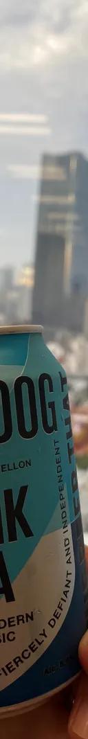 BREWDOG PUNK IPA サムネイル 1