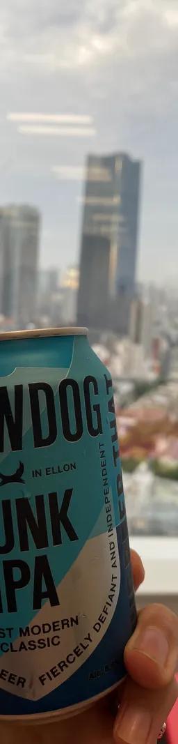 BREWDOG PUNK IPA