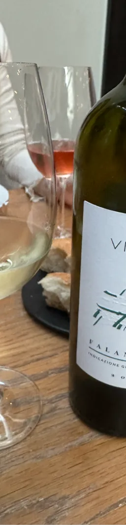 Falanghina Beneventano 2023