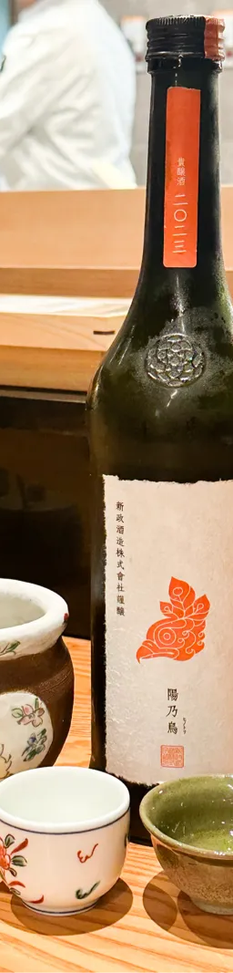 陽乃鳥
