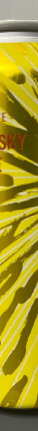 YELLOW SKY PALE ALE サムネイル 1