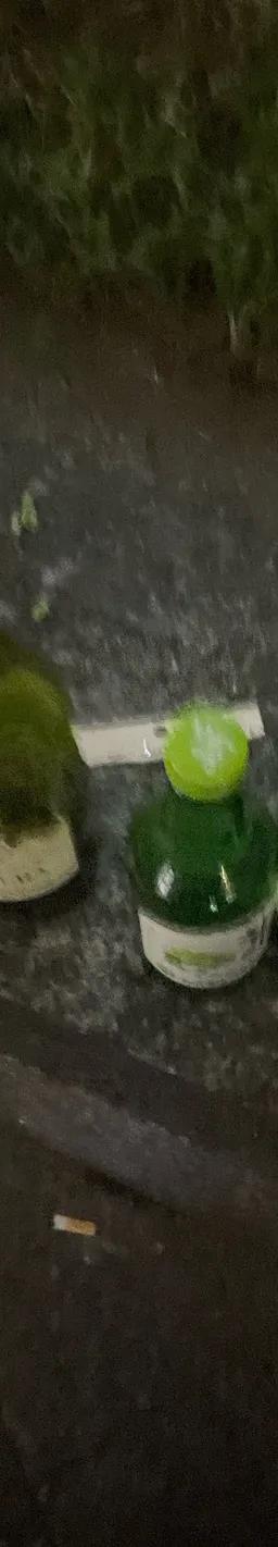 チャミスル