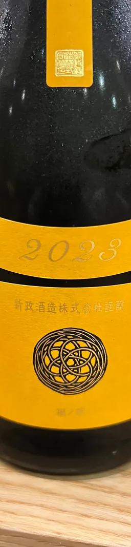 新政　Colors タンジェリン　山吹　2023