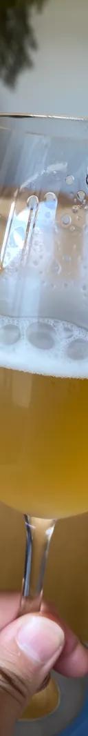 瀬戸内Gose サムネイル 1