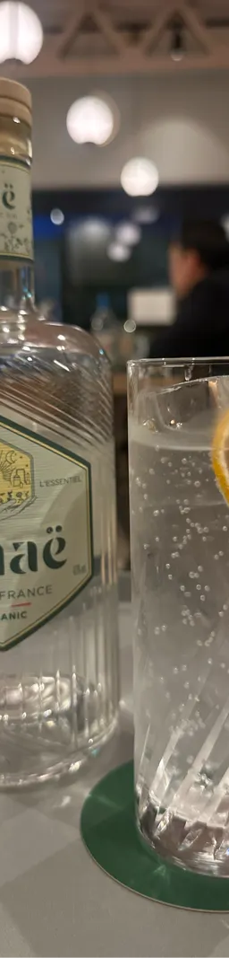Anae Gin Francais