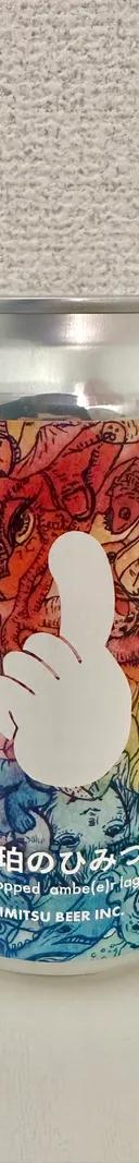琥珀のひみつ サムネイル 1